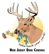 New Jersey Deer Control