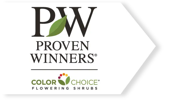 Proven Winners/Spring Meadow Nursery